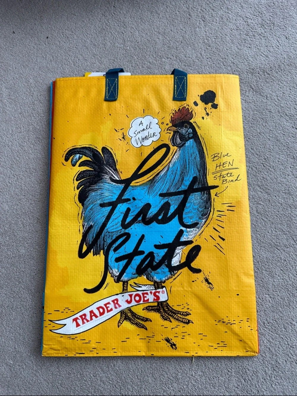 Trader Joe's mystery bag - Delaware - NWT